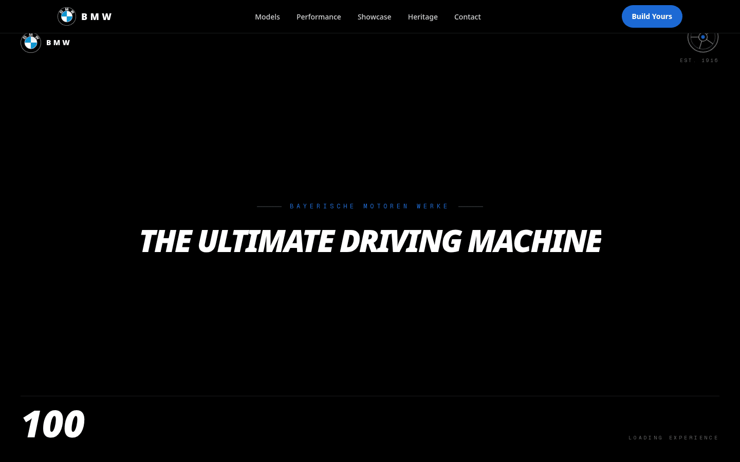 BMW website preview